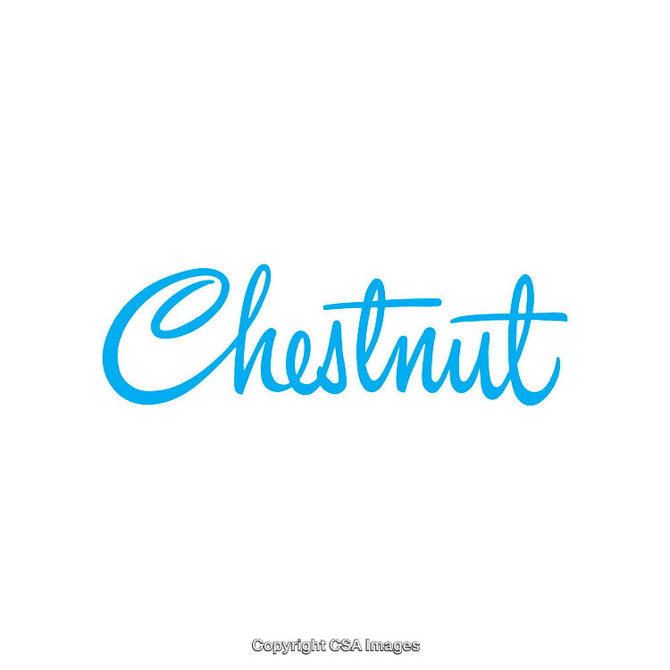 Blue Script Style Typography "Chestnut" With White Background