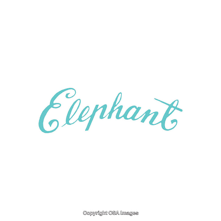 Stylish Typography Featuring the Word Elephant in a Vibrant Blue Font