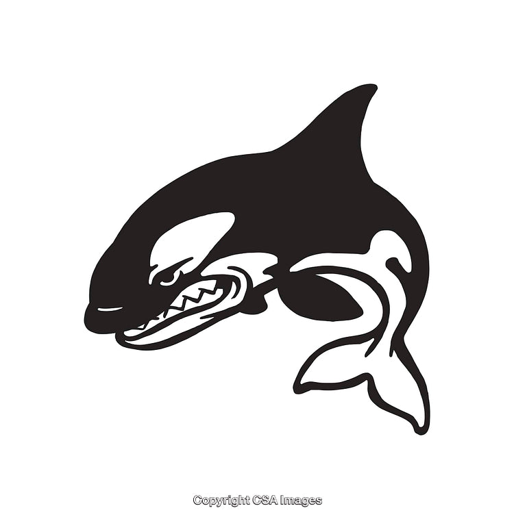 Stylized Black and White Orca Line Art Illustration