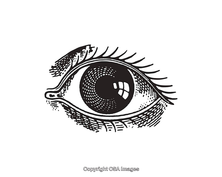 Black and White Artistic Line Art Illustration of a Human Eye