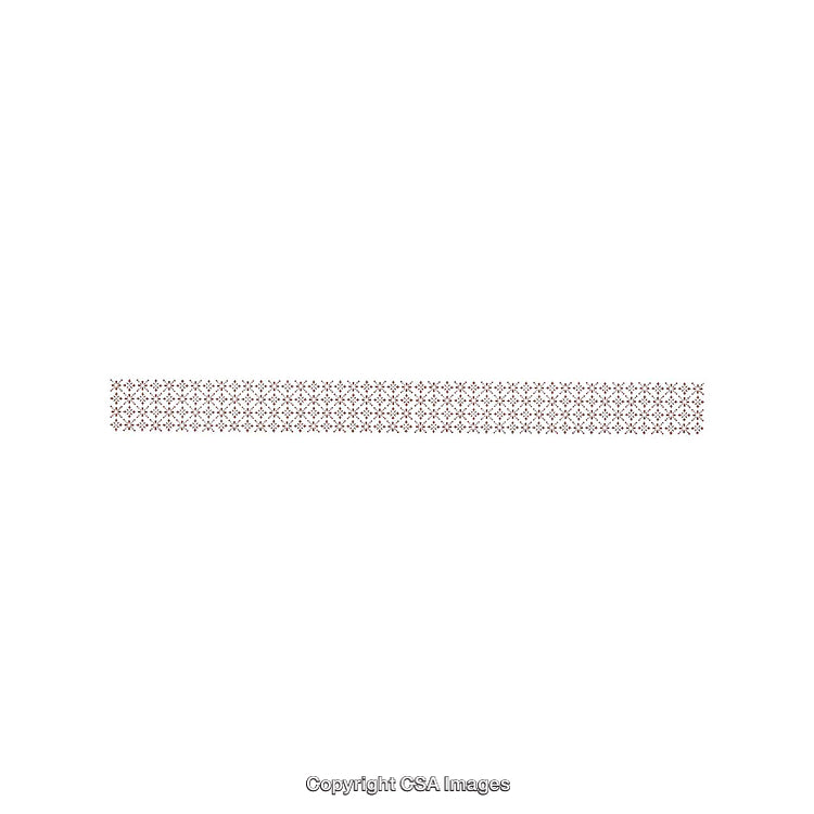 Seamless Decorative Border Design Featuring Repeated Floral Motifs in Muted Colors