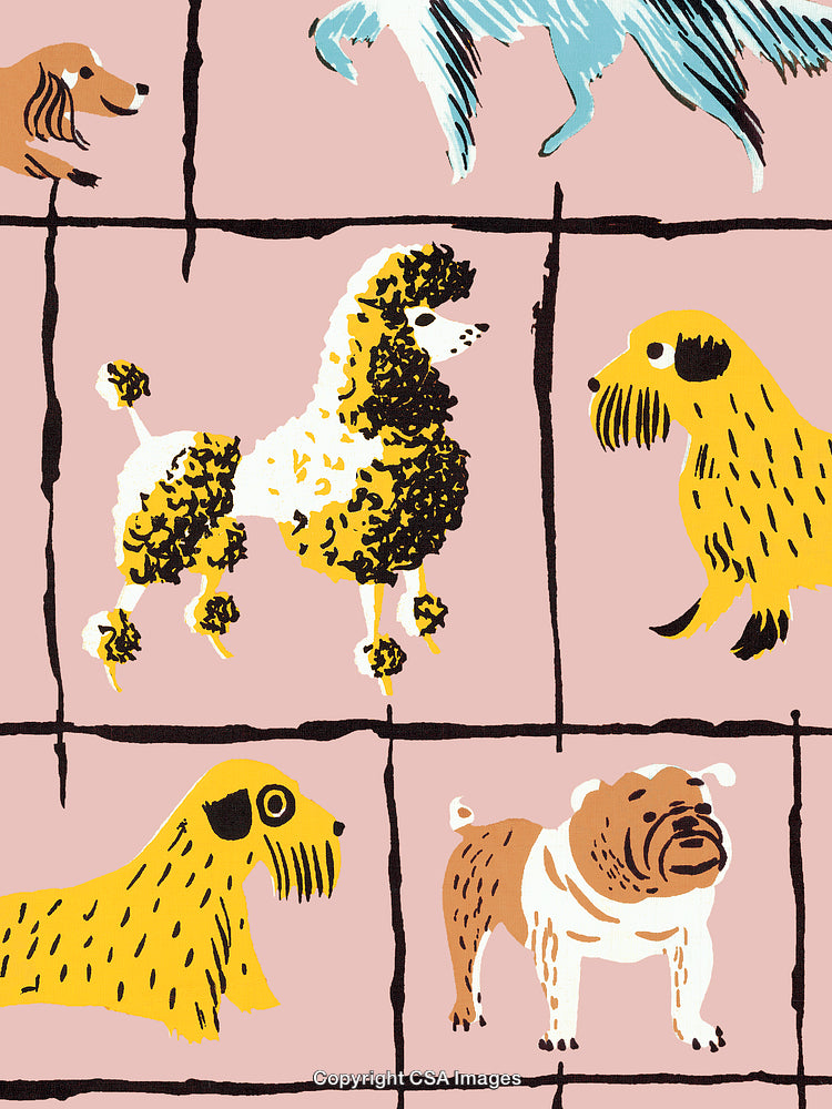 Playful Hand-Drawn Dog Illustrations in Yellow and Pink Colors