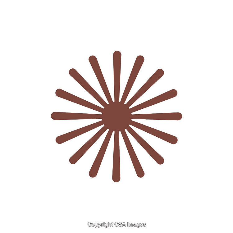 Decorative Abstract Brown Shape Resembling a Sunburst Pattern on White Background
