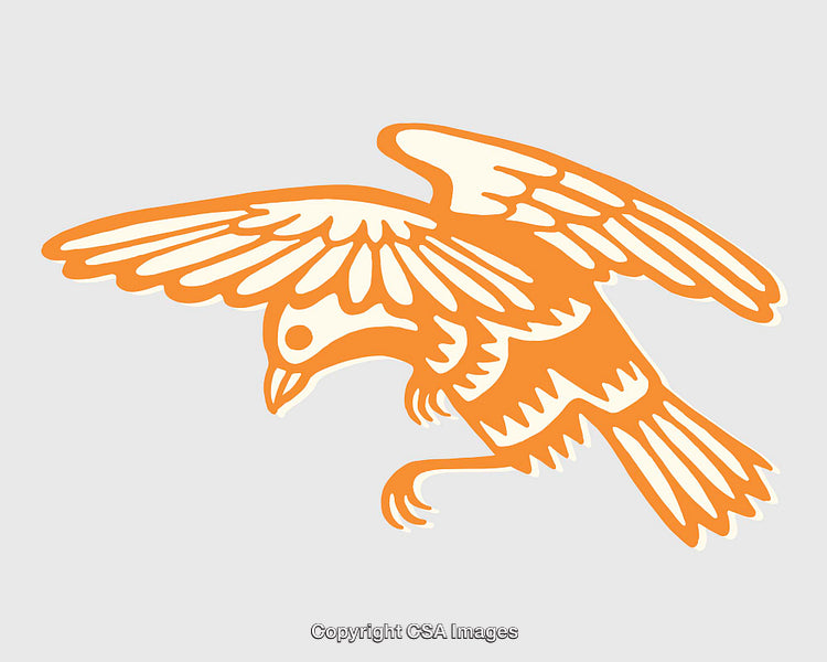 Colorful Line Art Illustration of a Detailed Flying Bird Design