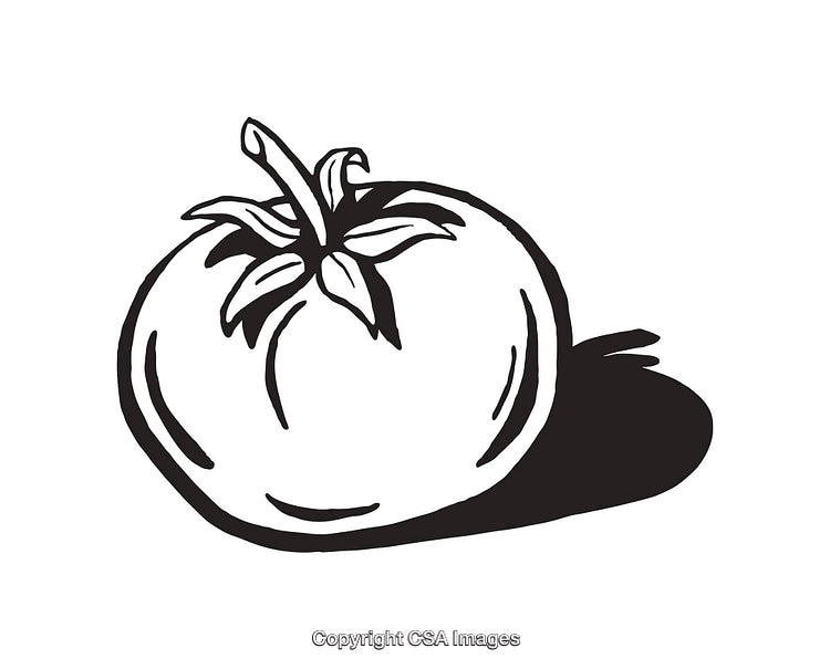 Black and White Line Art Illustration of a Tomato with Shadow