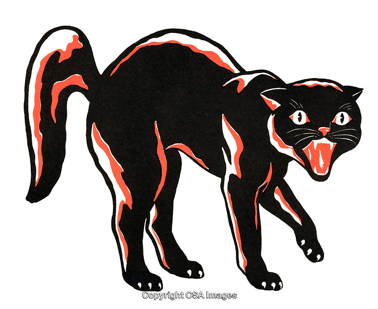Retro Illustration of a Hissing Black Cat with Halloween-Style Colors