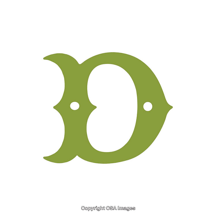 Green Letter D with Abstract Bird-Like Design on White Background