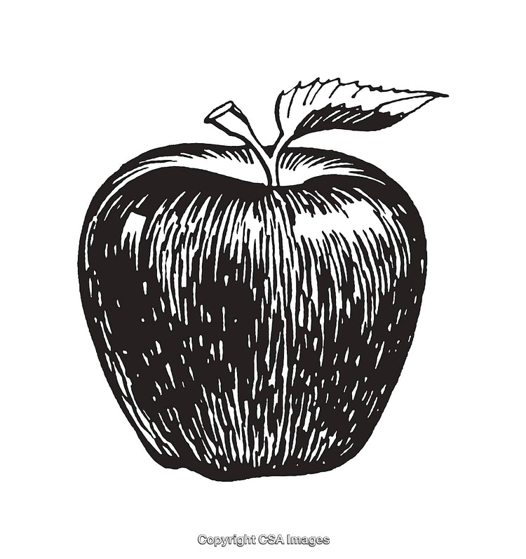 Black and White Illustration of an Apple with Detailed Line Art