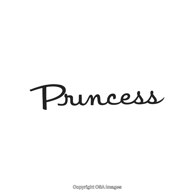 Elegant Script Text Displaying the Word Princess in Cursive on a White Background