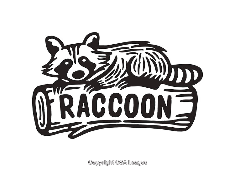 Black and White Illustration of a Raccoon Reclining on a Log