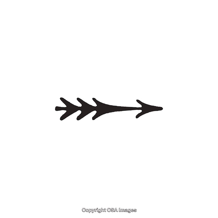 Black And White Abstract Arrow Design with Unique Decorative Style