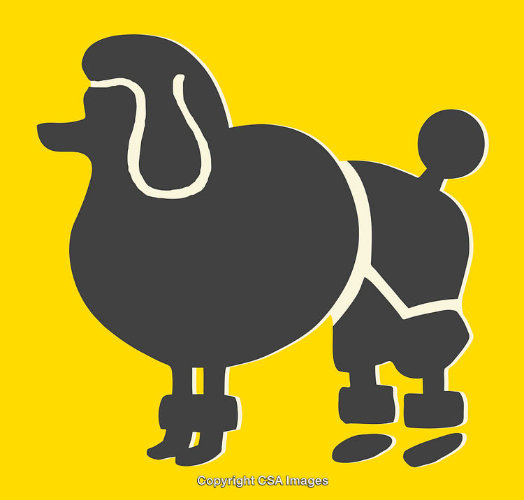 Stylized Poodle Silhouette on Bright Yellow Background