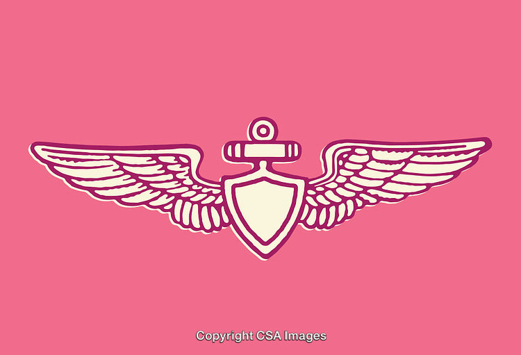 Winged Nautical Emblem With Shield and Anchor on Pink Background