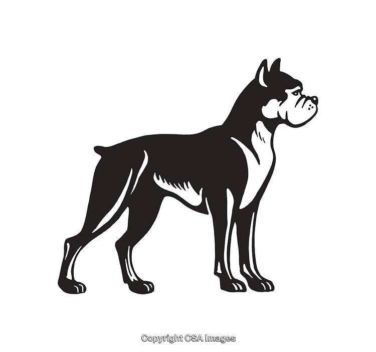 Black and White Boxer Dog Silhouette Illustration Featuring Standing Pose