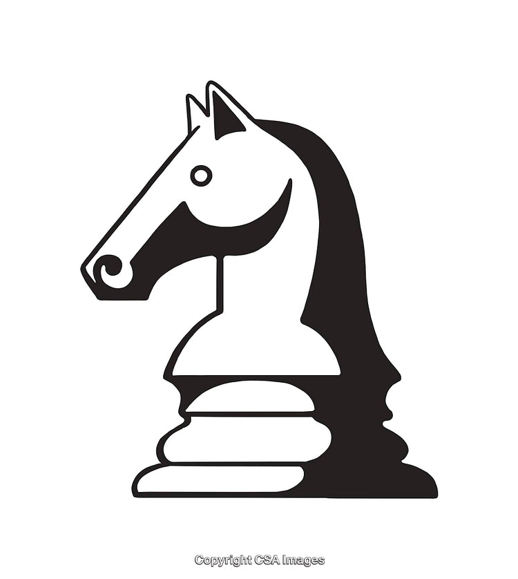 Black and White Knight Chess Piece Line Art Illustration