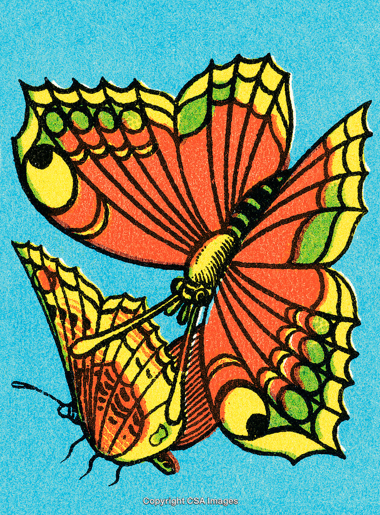 Colorful Butterflies with Vibrant Patterns on a Bright Blue Background