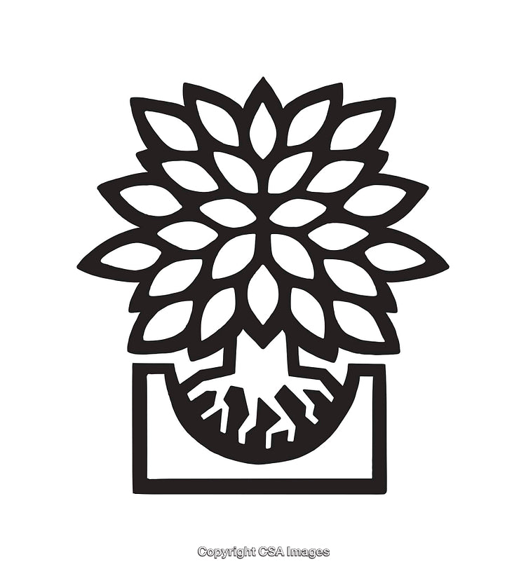 Stylized Line Art Illustration of a Flower with Roots in a Pot