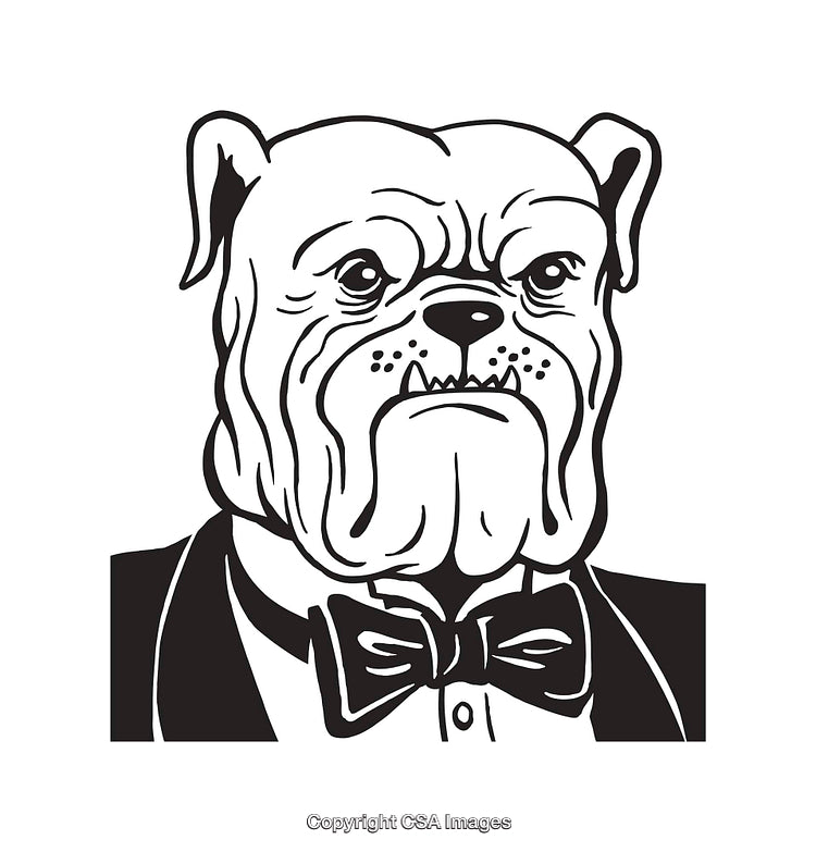 Stylish Bulldog in Tuxedo Line Art Black and White Illustration