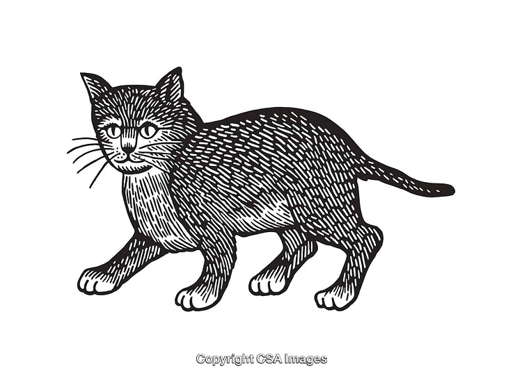 Black and White Line Art Illustration of a Cat in Motion