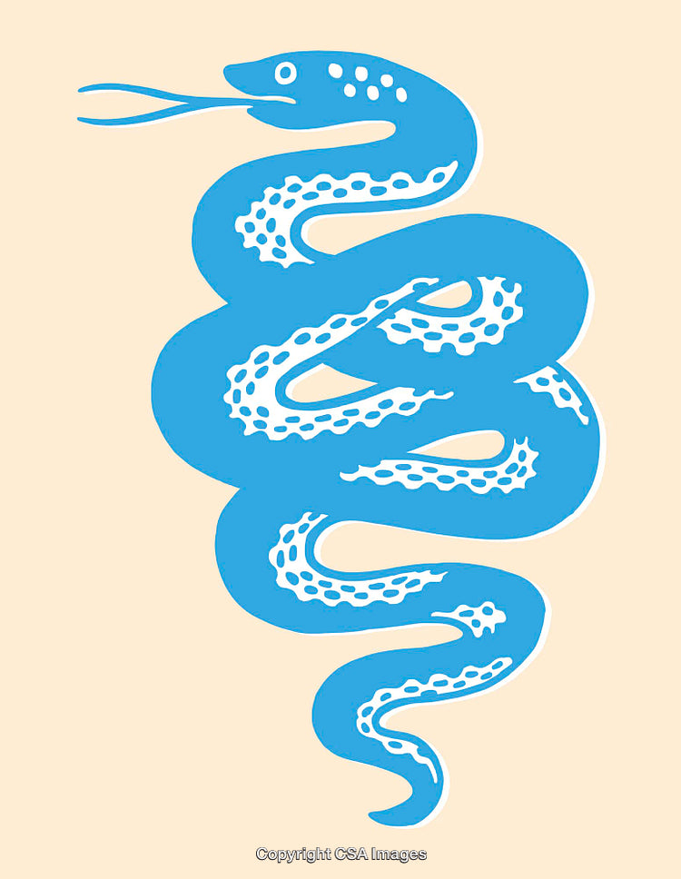 Stylized Blue Snake Illustration on a Light Background