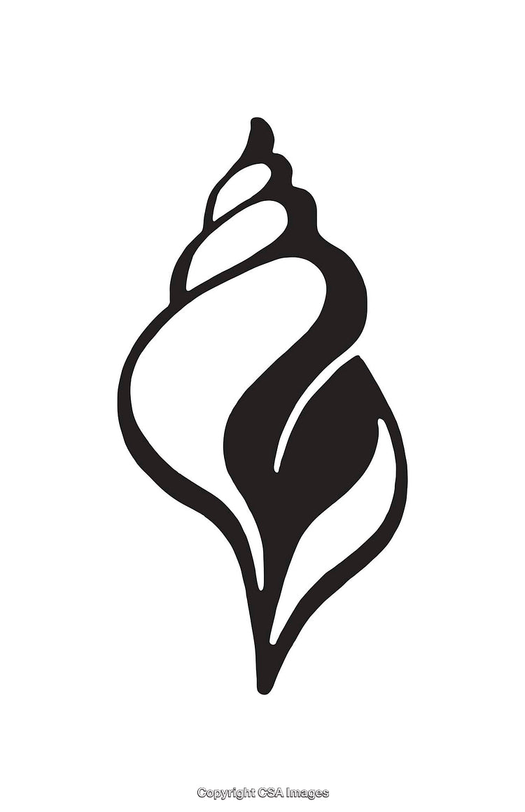 Minimalist Black and White Line Art Illustration of a Conch Shell