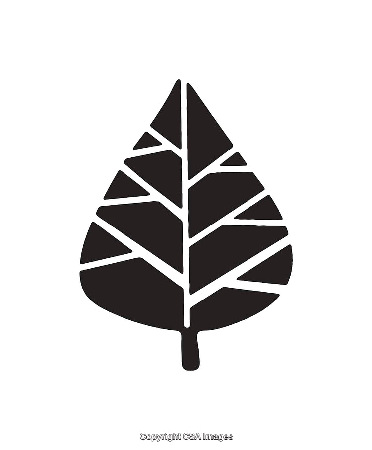 Geometric Black and White Leaf Design with Modern Line Art