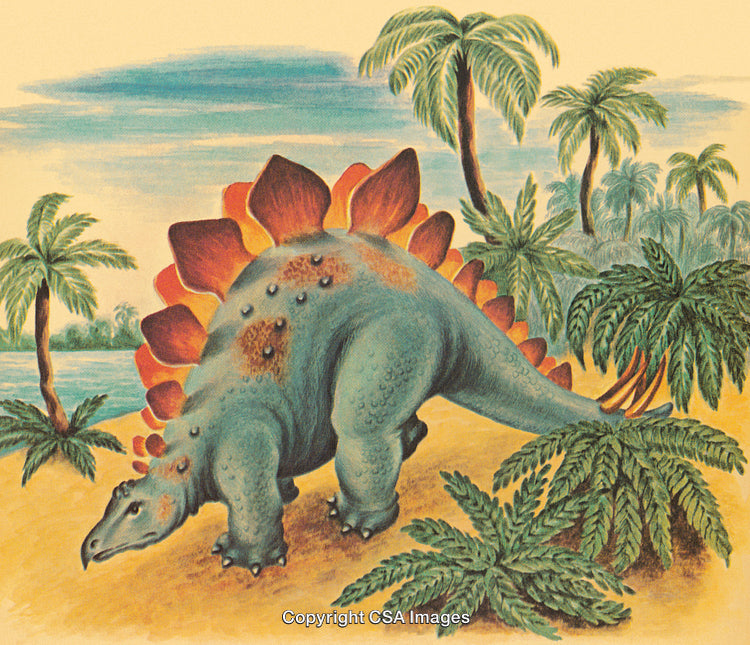 Stegosaurus Dinosaur in Prehistoric Forest With Lush Greenery and Palm Trees