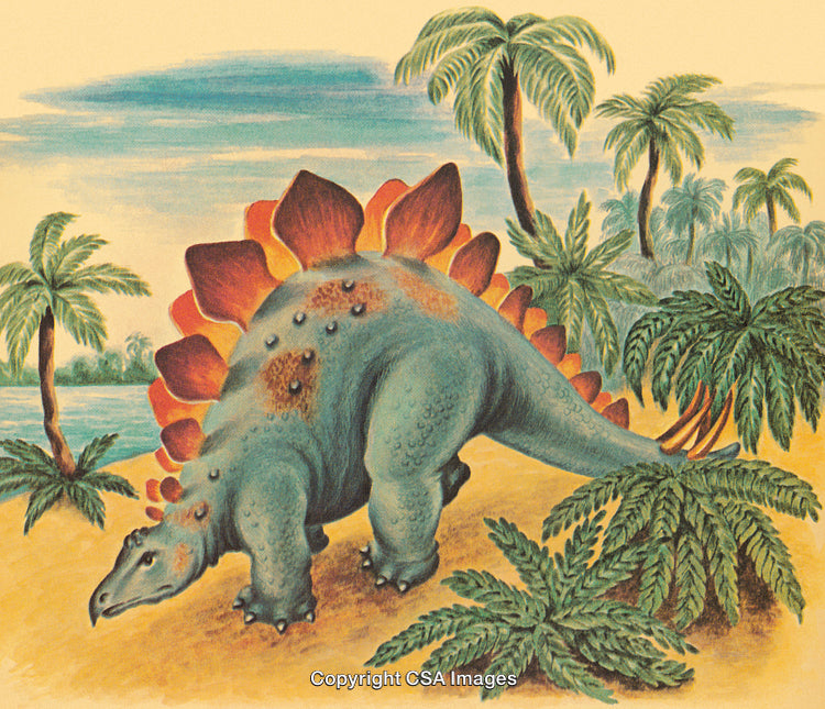 Stegosaurus Dinosaur in Prehistoric Forest With Lush Greenery and Palm Trees