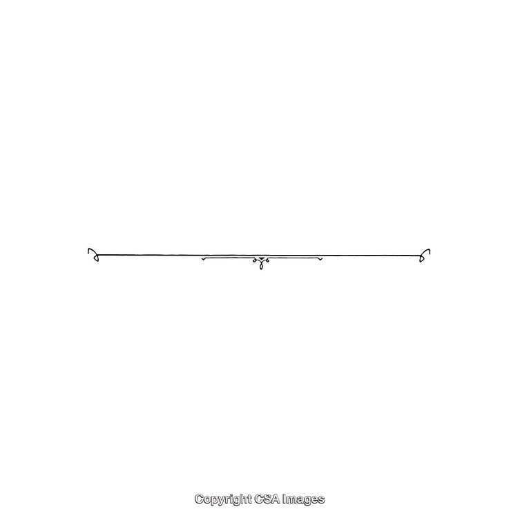 Elegant Minimalist Line Separator with Delicate Ornamental Design