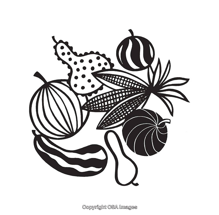 Black and White Line Illustration of Gourds, Corn, and Pumpkins
