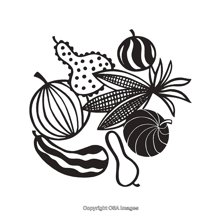 Black and White Line Illustration of Gourds, Corn, and Pumpkins