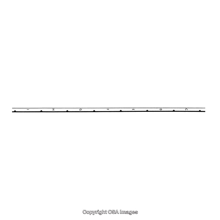 Minimalist Black and White Border Elements in a Classic Style
