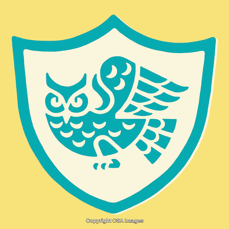 Stylized Owl Emblem Design in a Shield Motif on Yellow Background