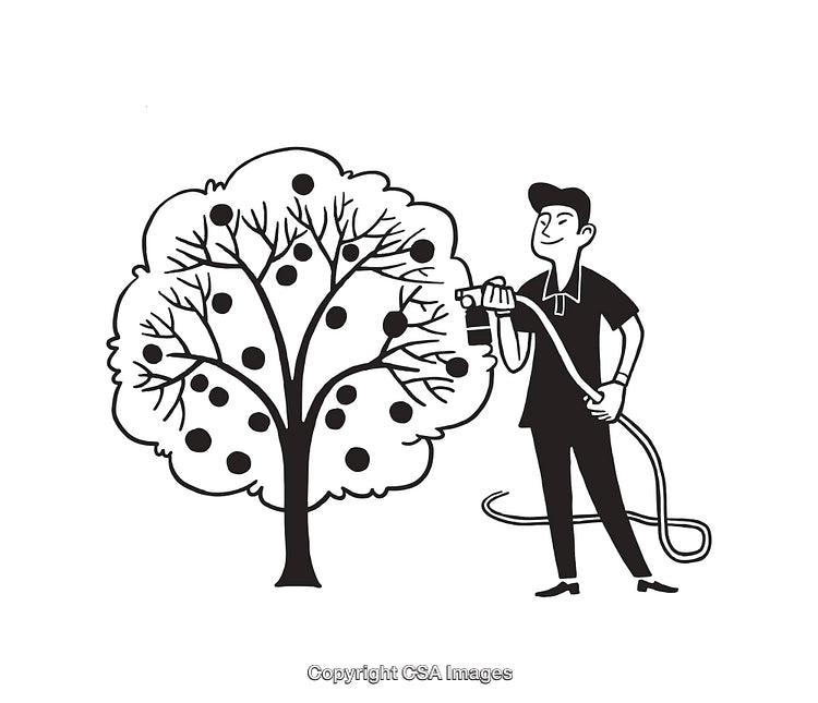 Illustration of a Person Watering a Fruit Tree in Black and White Line Art
