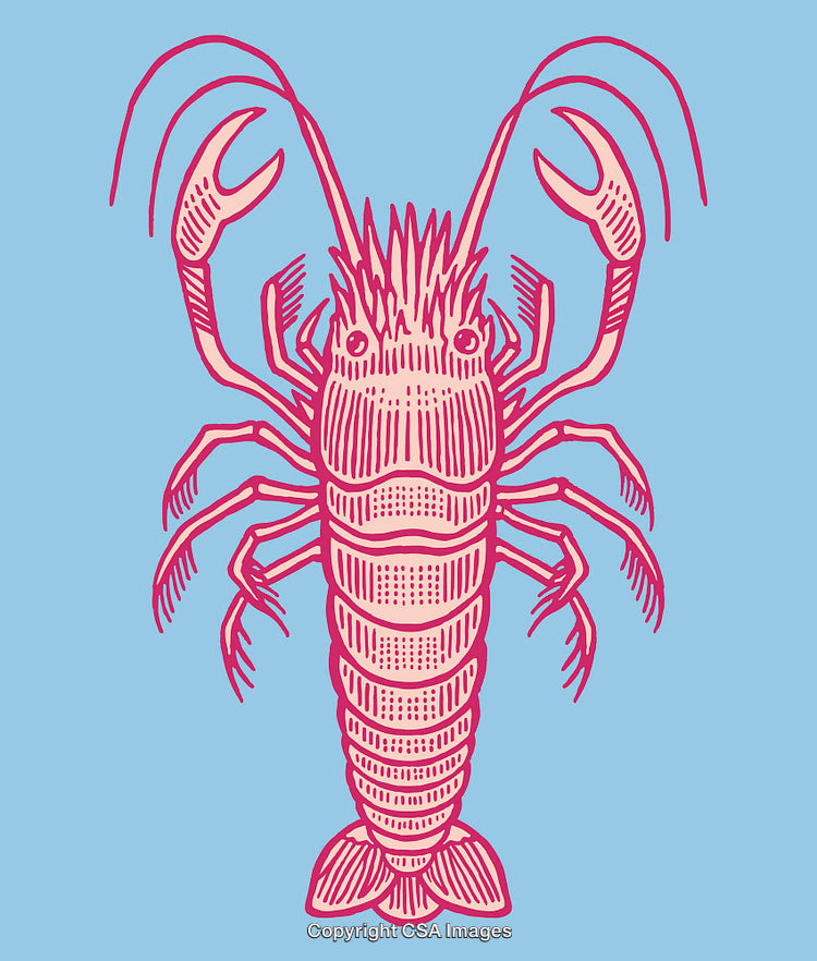 Pink Lobster Line Art Illustration on a Light Blue Background
