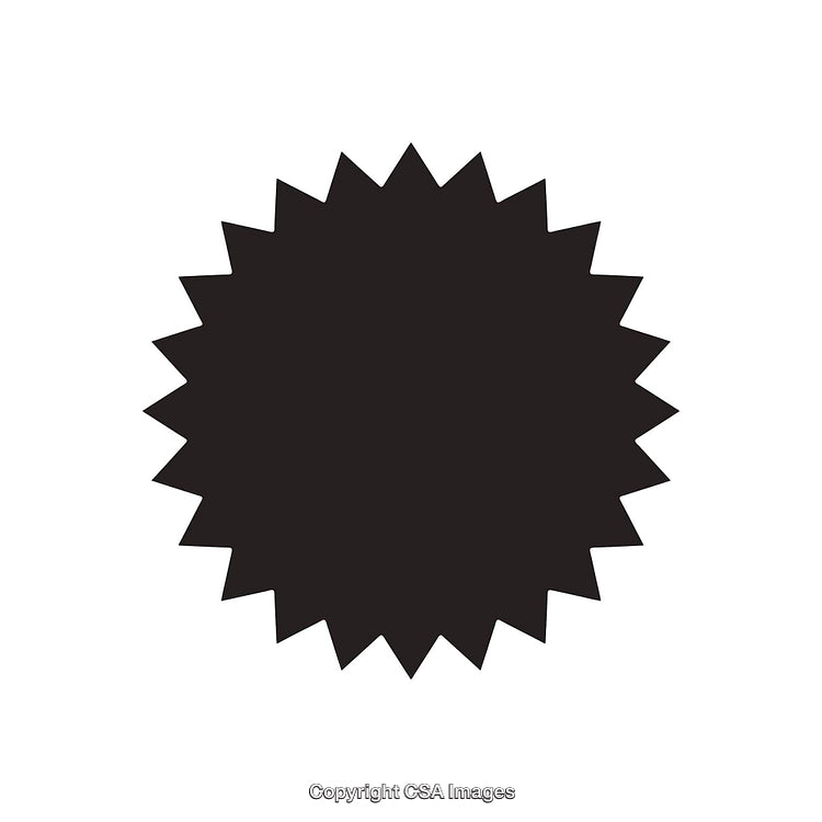 Black Abstract Sunburst Shape on a Solid White Background