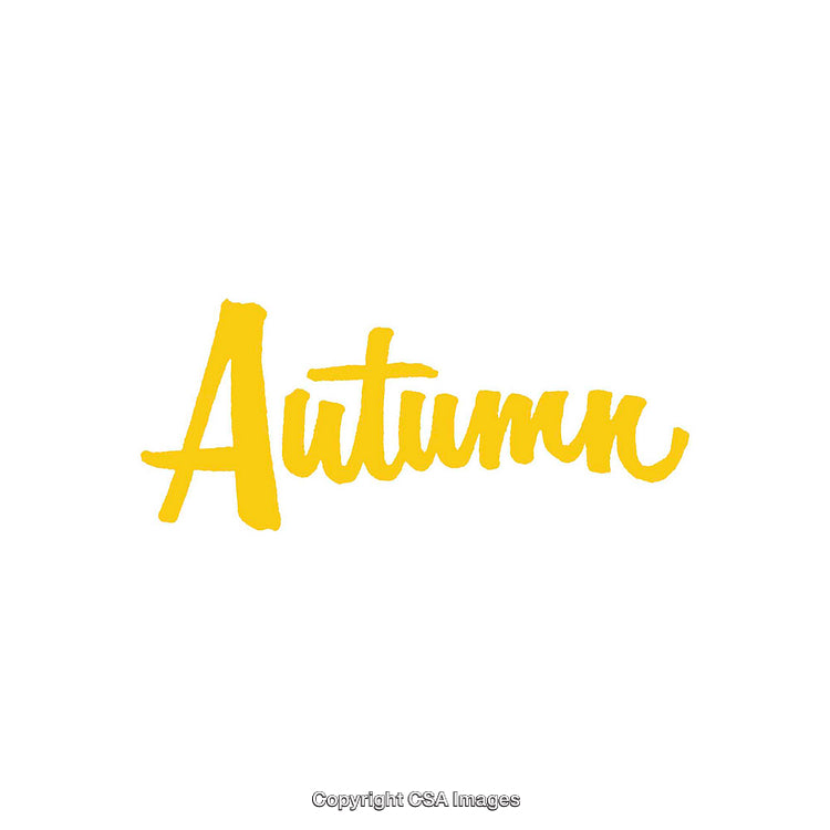 Yellow Handwritten Autumn Text on a White Background