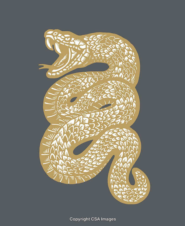 Golden Snake Illustration on Dark Background with Detailed Line Art