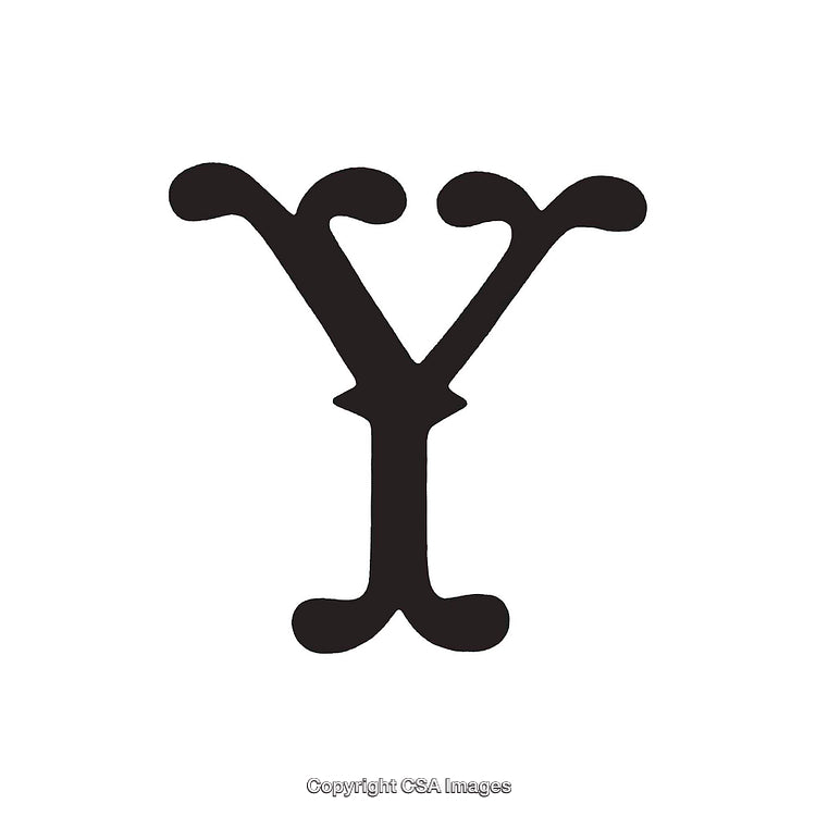 Decorative Capital Letter Y in an Ornate Serif Font Design