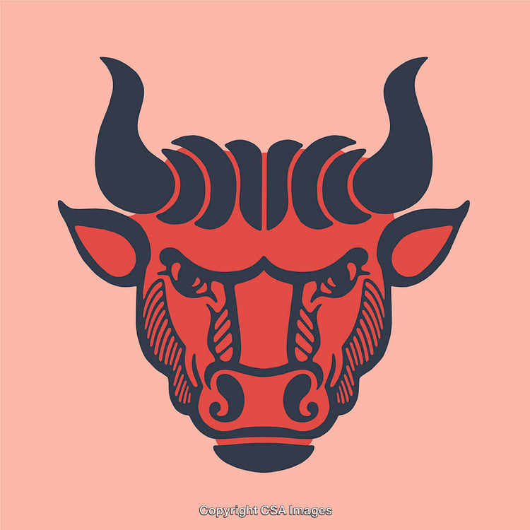 Bold Line Art Illustration of a Bull Head on Pink Background