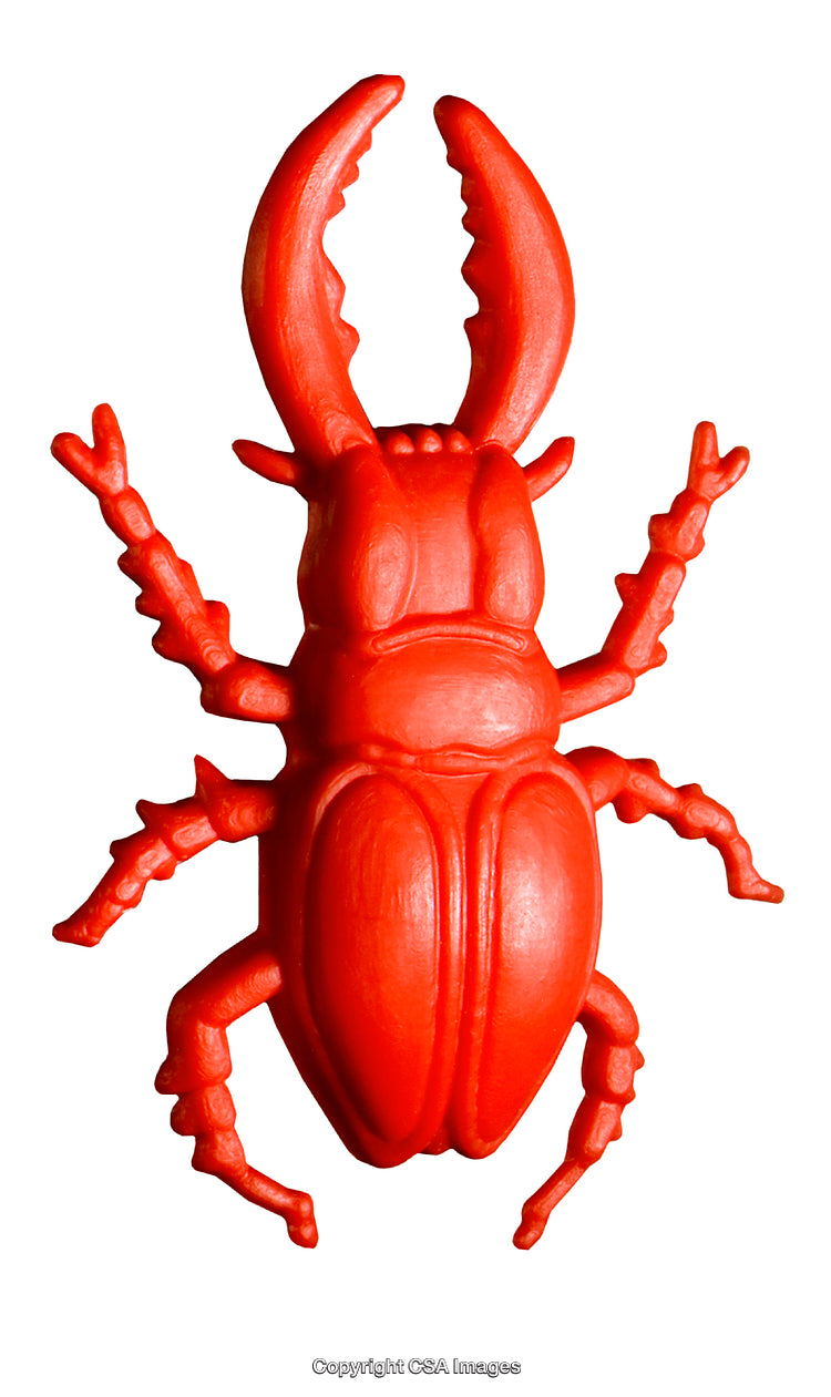 Red Plastic Toy Beetle With Large Mandibles and Detailed Design on White