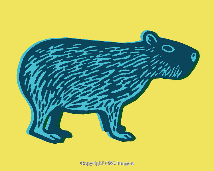 Vibrant Blue Capybara Illustration on Yellow Background