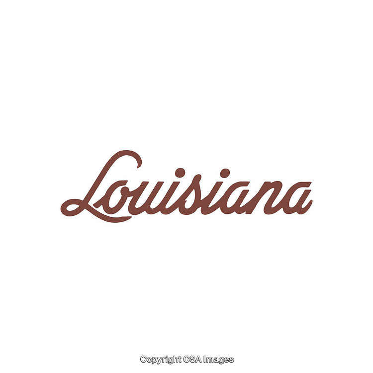 Minimalistic Louisiana State Typography in Script Font on White Background