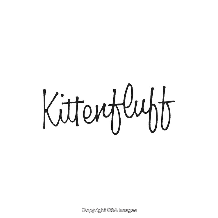 Handwritten Script Featuring 'Kittenfluff' in Stylish Black Typography on White