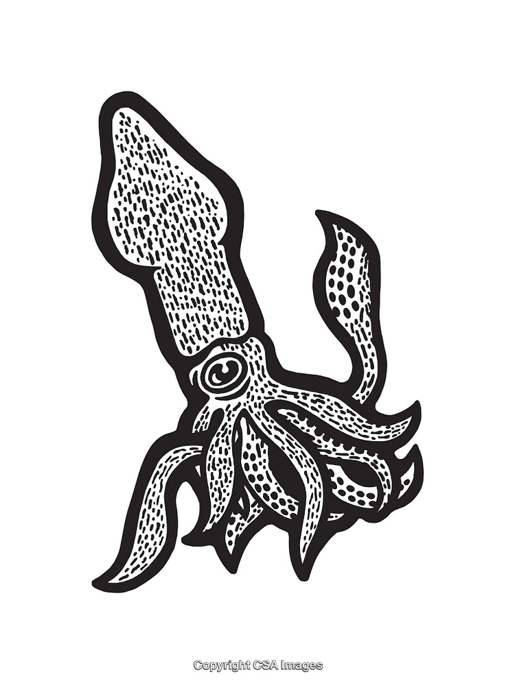 Black and White Line Art Illustration of a Squid Design