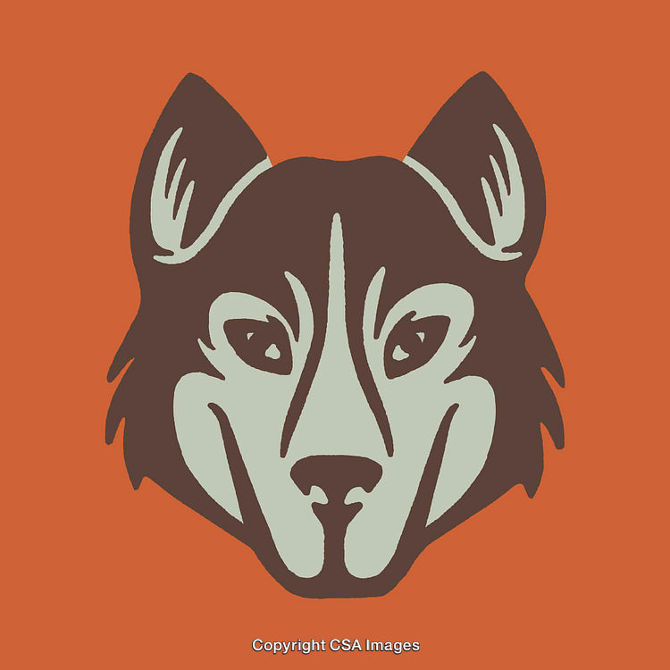 Bold Line Art Illustration of a Husky Dog Face on Orange Background