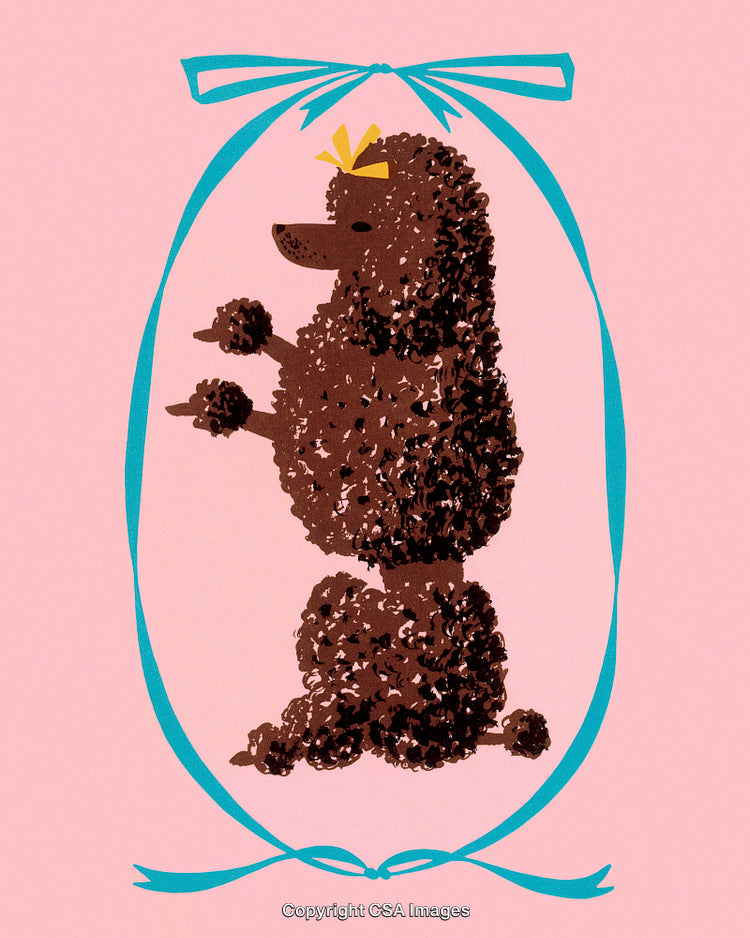 Illustration of a Poodle Within a Floral Frame on a Pink Background