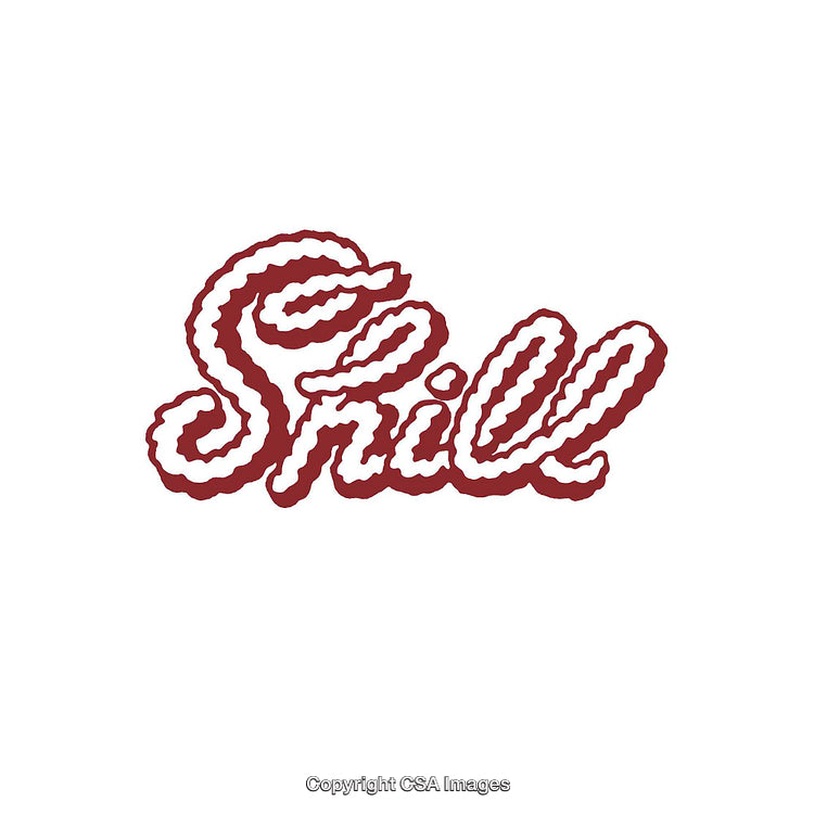 Elegant Script Design Featuring Unique Wordmark in Single Color Theme