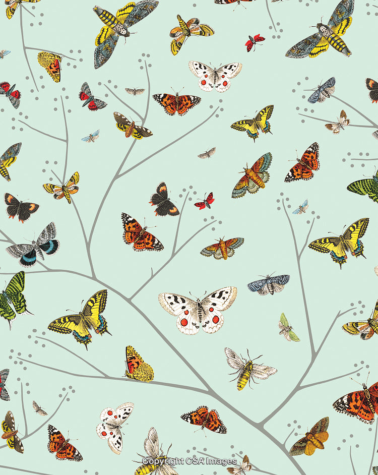 Butterflies