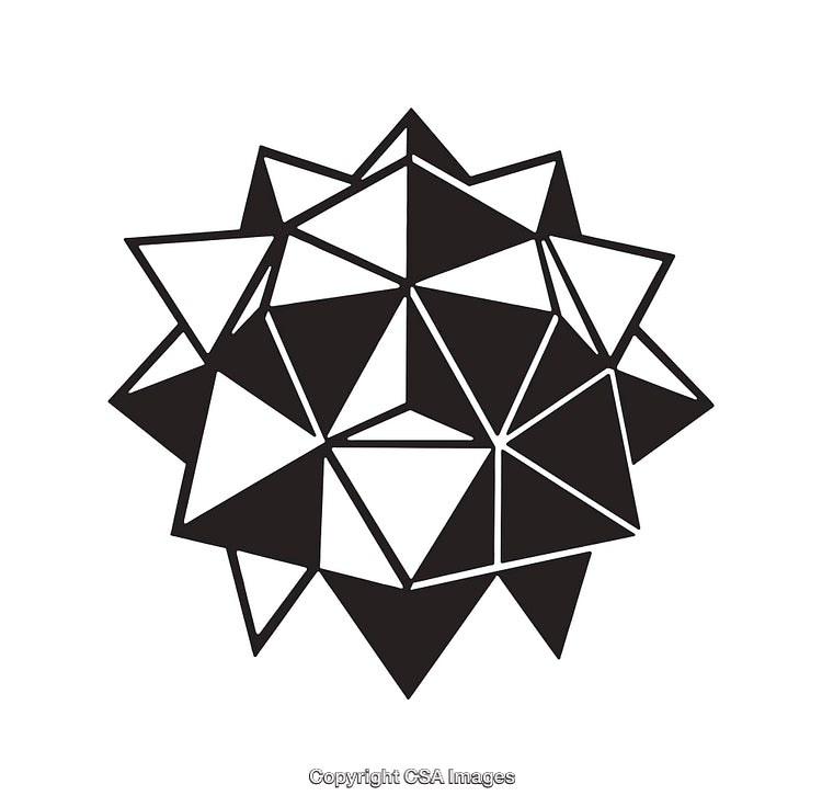 Geometric Black and White Polygonal Star Design Illustration